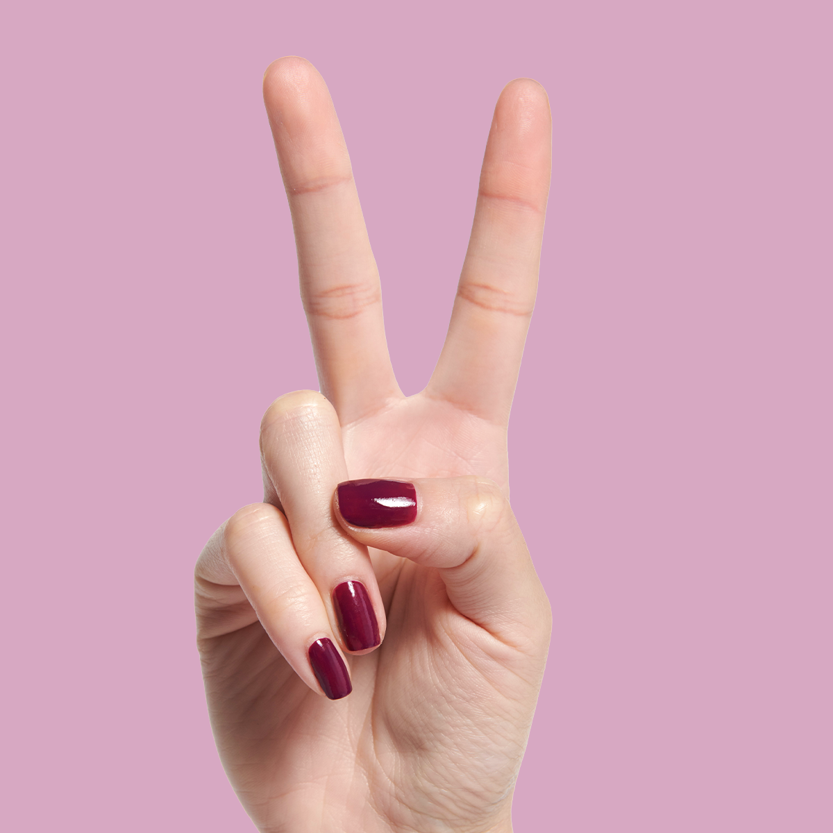 The Winter Set 2022、mySite、solidvoid