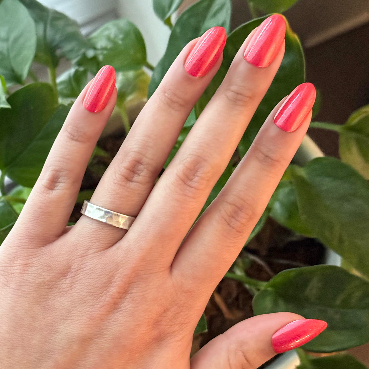 Rodeo Queen - Press-On | Medium | Oval、mySite、solidvoid