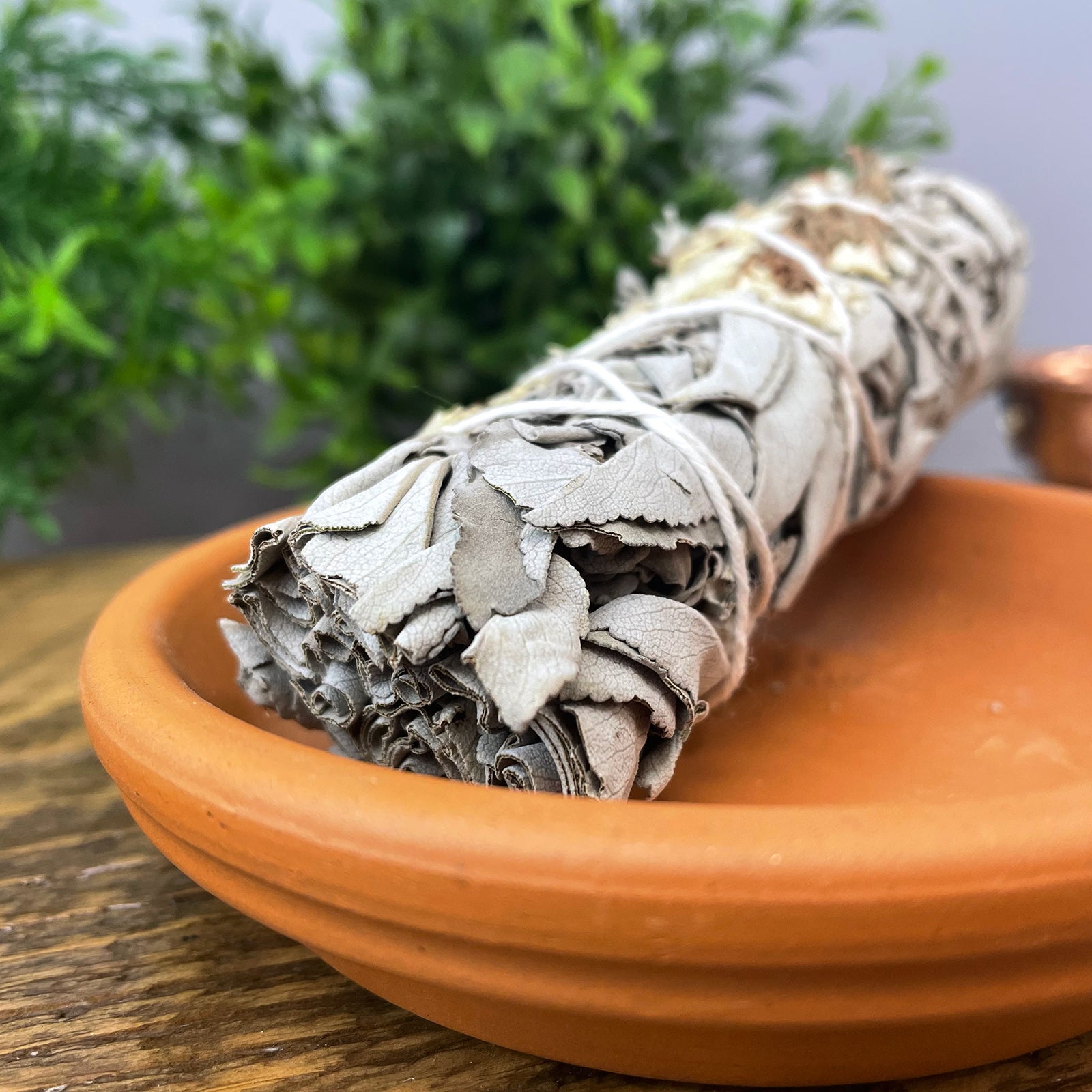 White Sage with Flowers、mySite、topwebapps