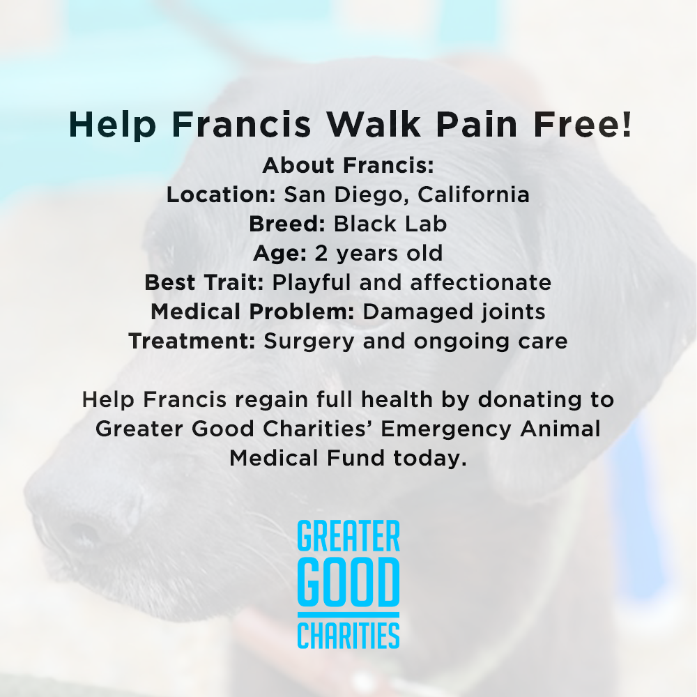 Funded - Help Francis Get Surgery To Walk Pain Free、mySite、camillekostekn