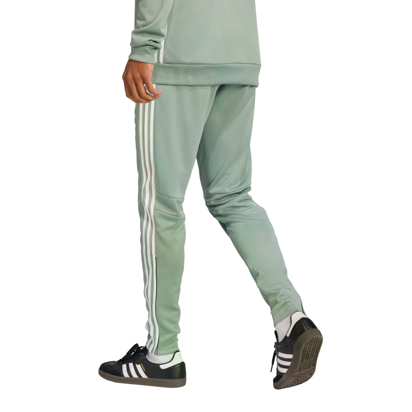 Adidas Tiro 25 Essentials Training Pants - Green、mySite、noshort