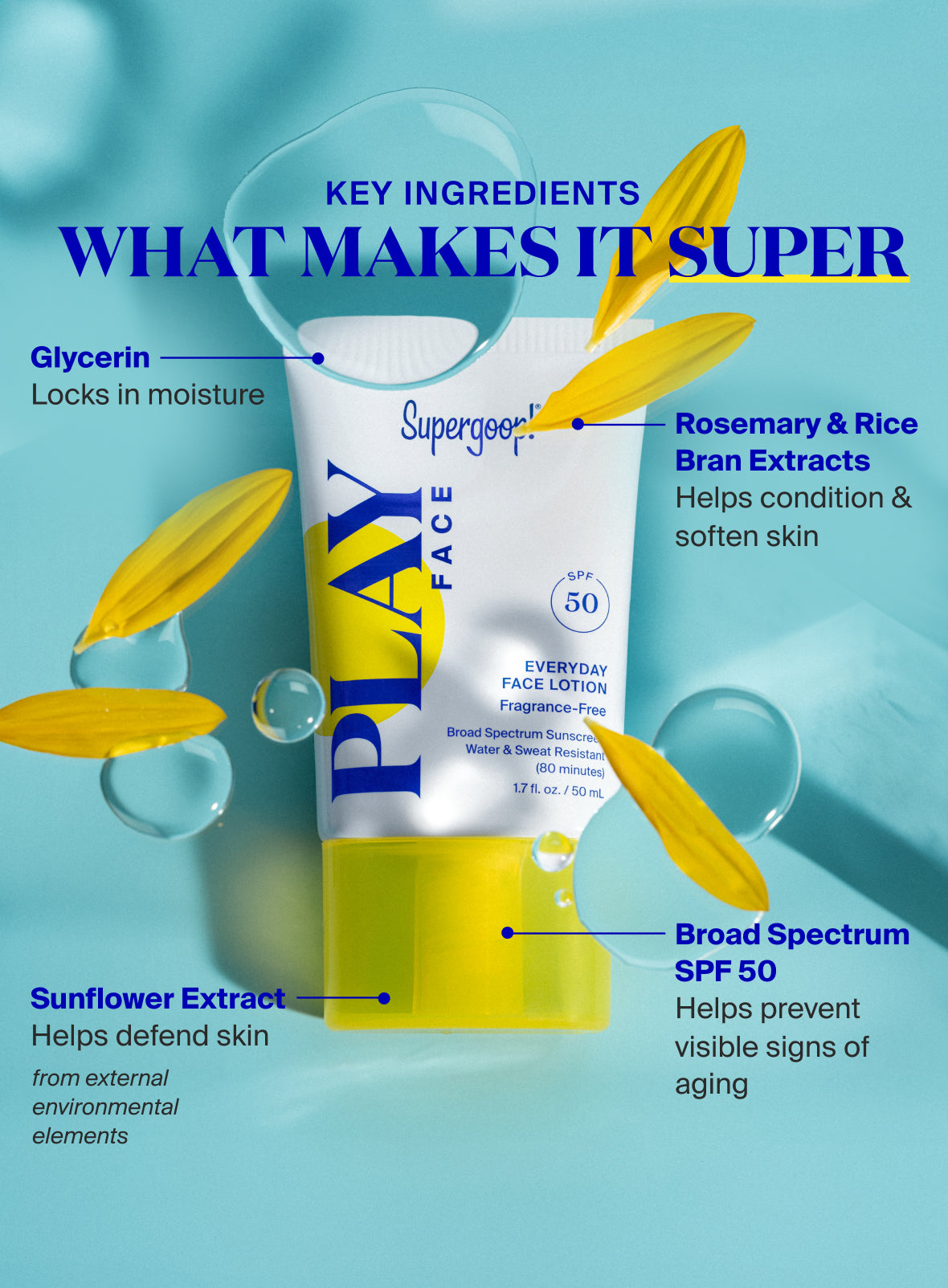  PLAY Everyday Face Lotion SPF 50 Fragrance-Free、mySite、ghnorth