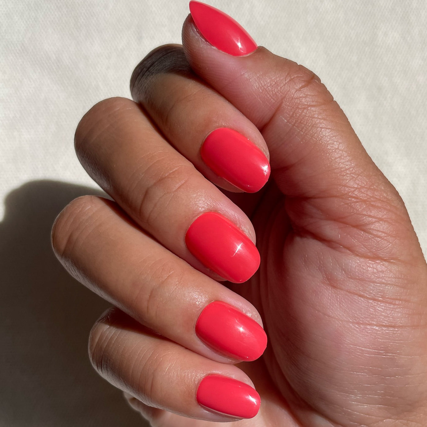 Field Day | Round | Extra Short、mySite、solidvoid