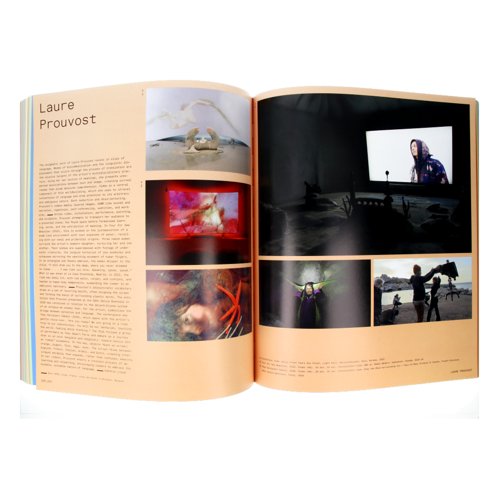  Vitamin V - Video and the Moving Image in Contemporary Art、mySite、greenlandpopulation