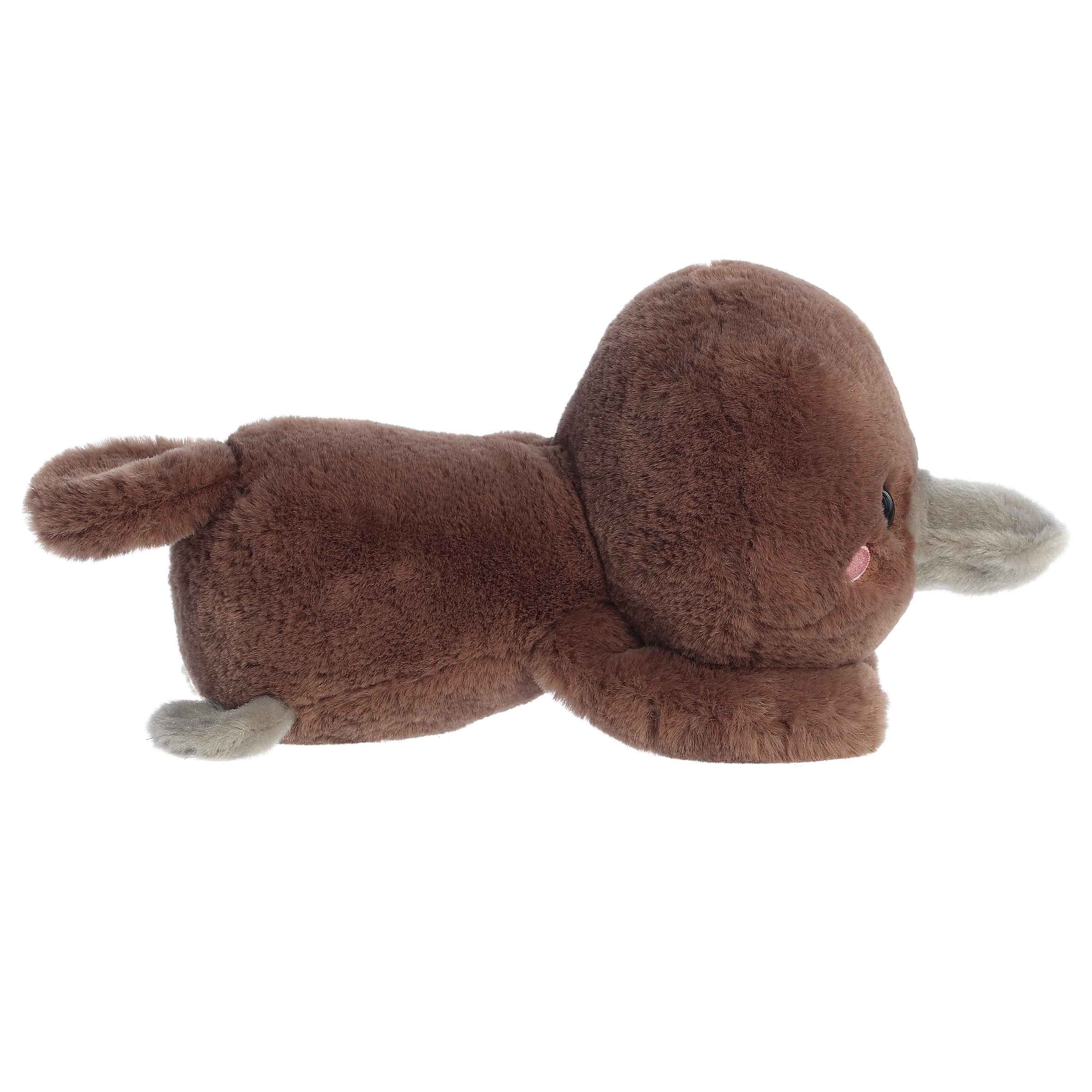 Aurora® - Too Cute™ - 9 Pimmy Platypus™、mySite、g9winljtr