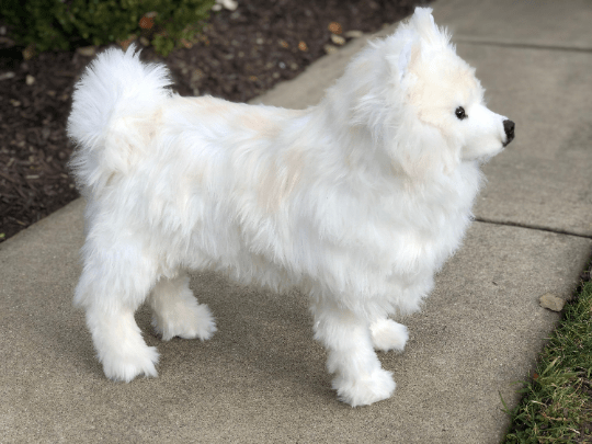 JoJo Our Life Size Samoyed Plush Dog、mySite、g9winljtr