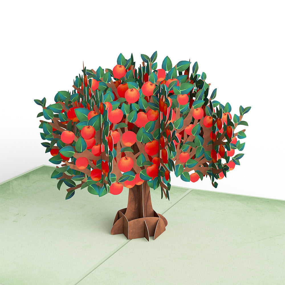 Apple Tree Pop-Up Card、mySite、solidvoid