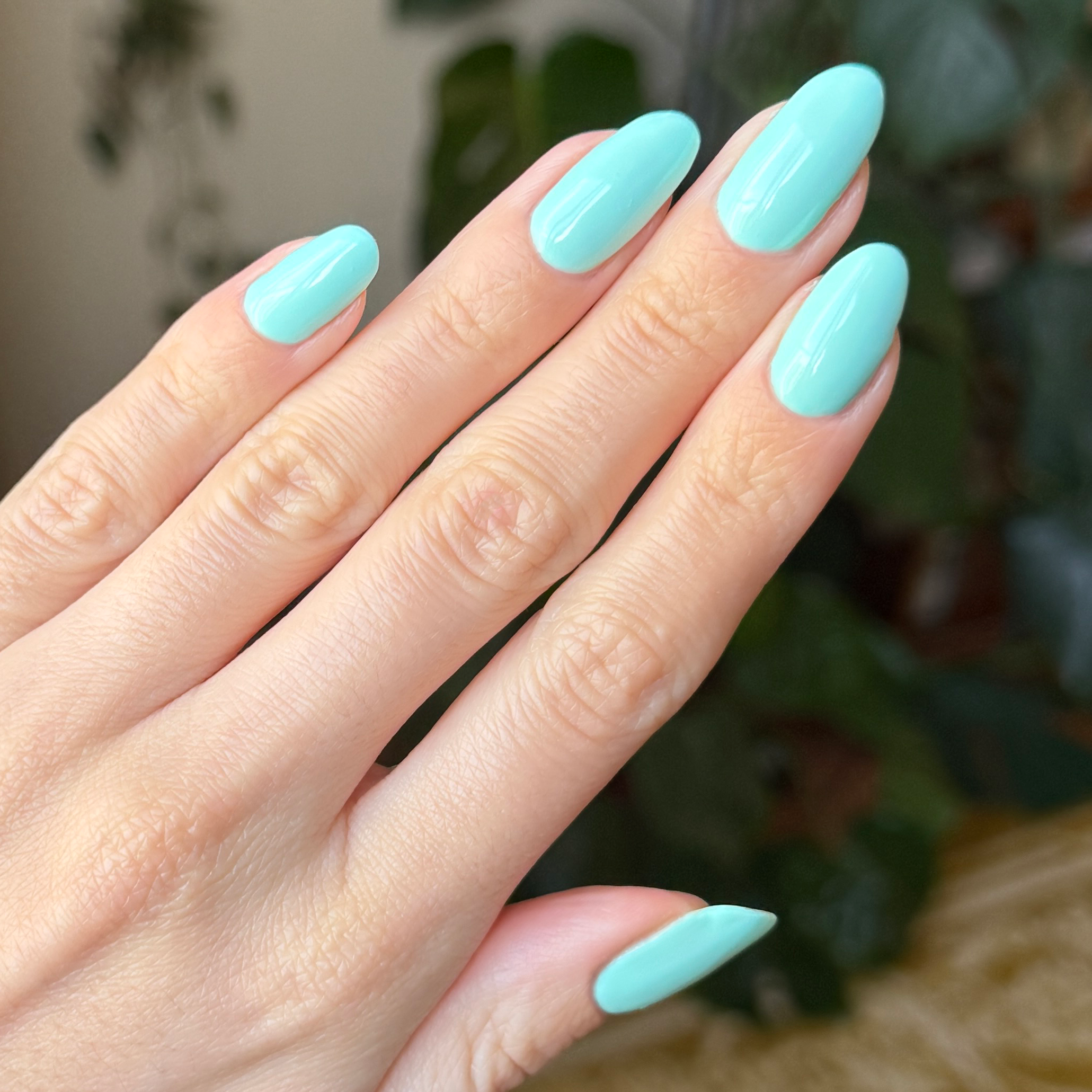 Slam Dunk、mySite、solidvoid