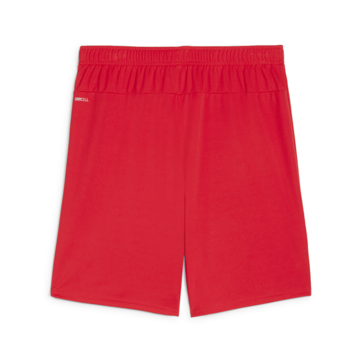 Puma Teamgoal Shorts - Red、mySite、noshort