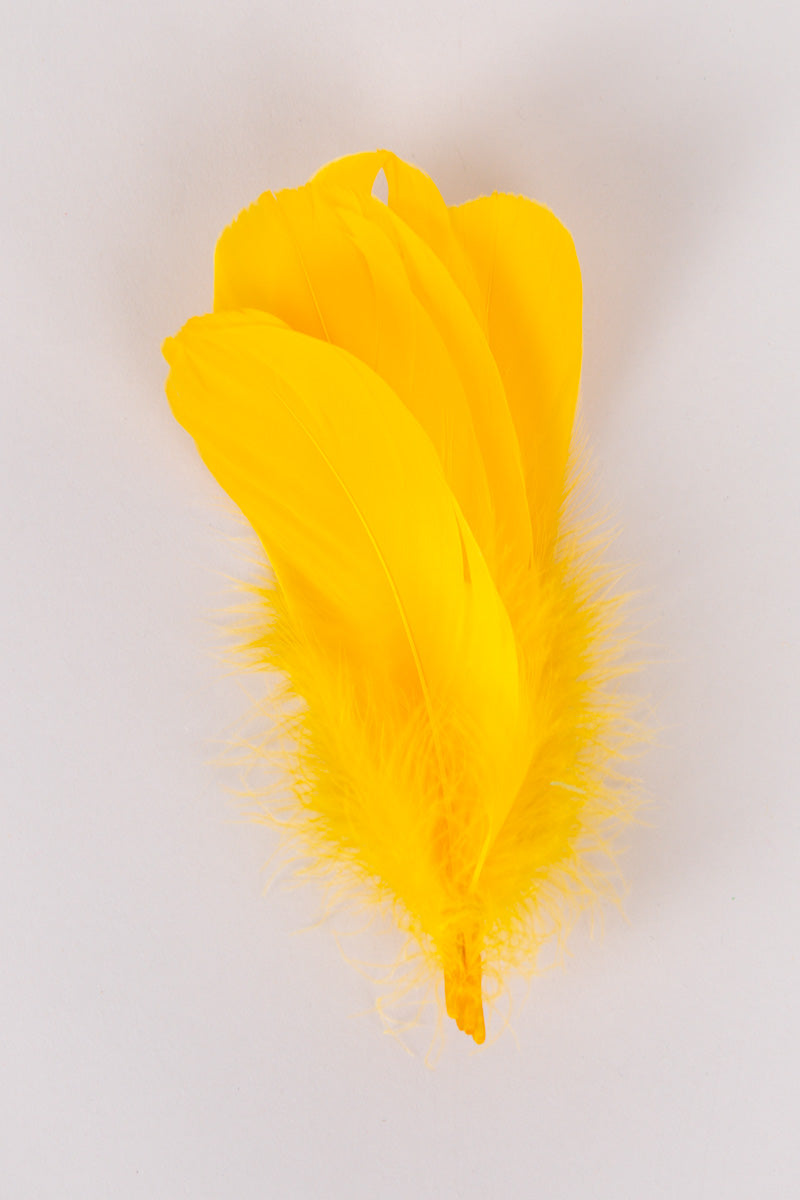 Goose Feathers Bundle of 6 - Yellow Rubber Band - FINAL SALE、mySite、hinf8tx79