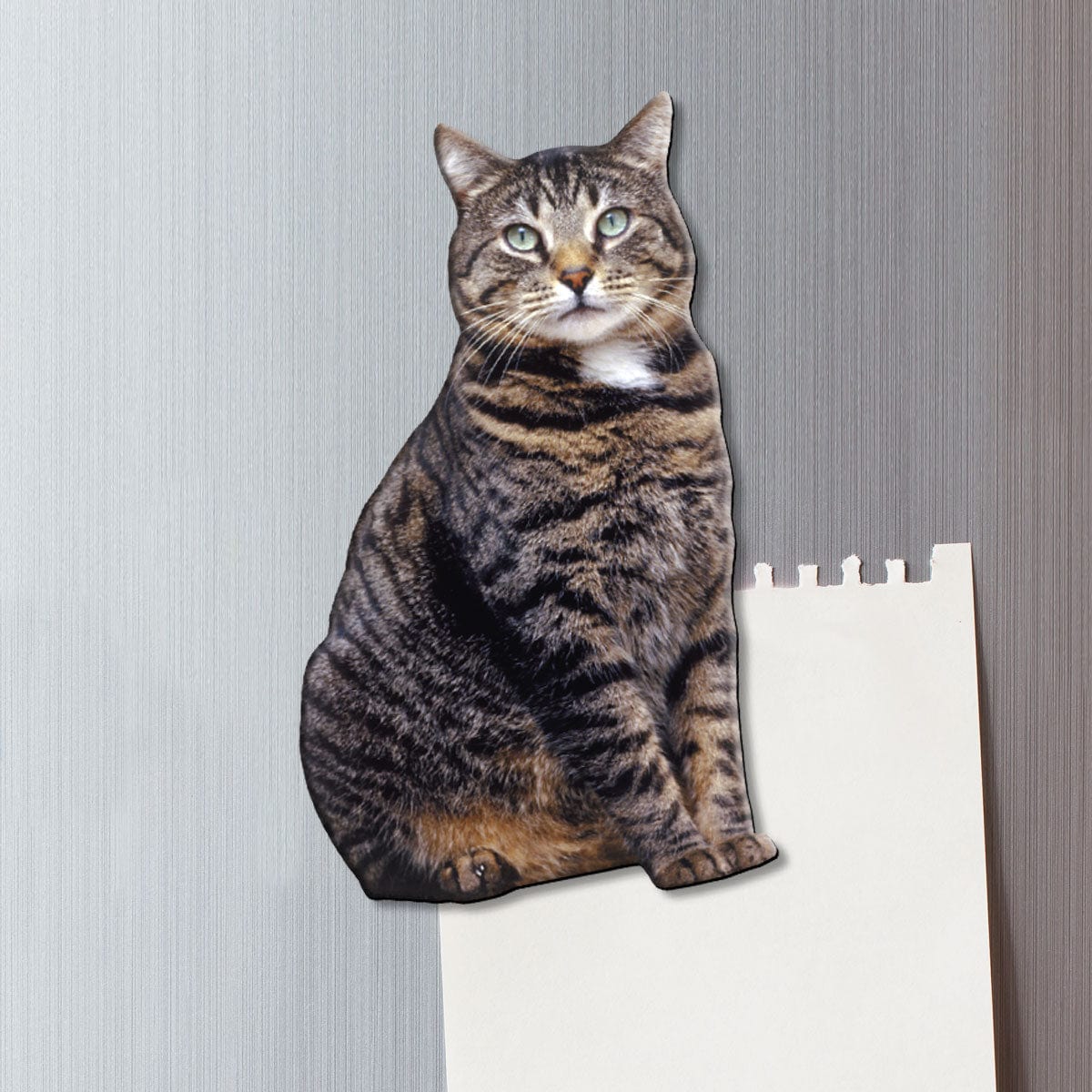  Fridge Magnet - Brown Tabby Cat、mySite、ghnorth