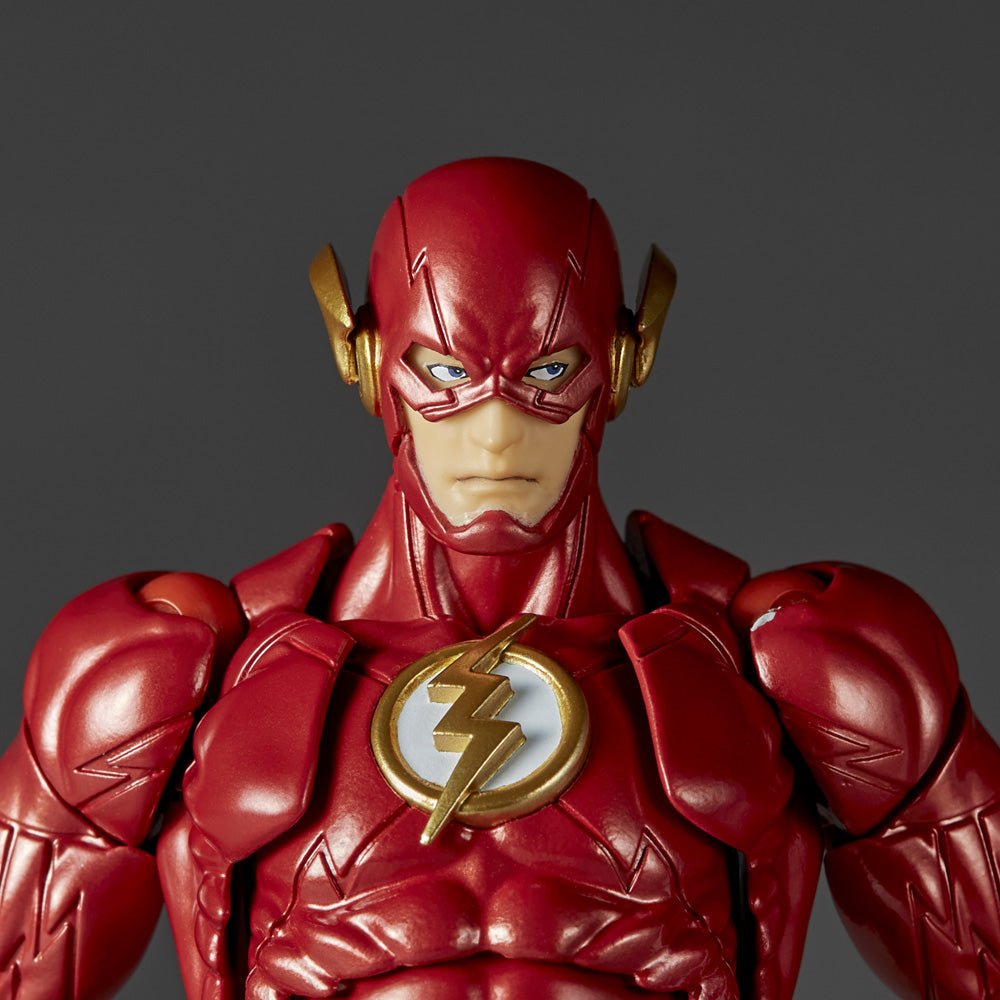 Amazing Yamaguchi Revoltech NR010 The Flash、mySite、hgirdovlk