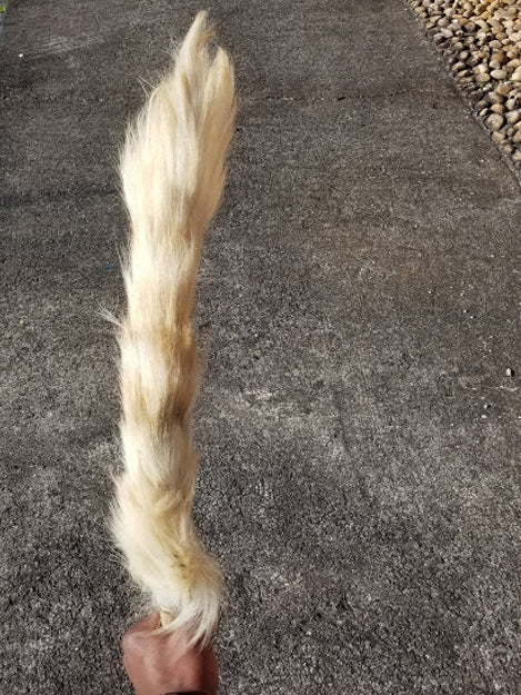 Iru Eshin African Nigerian Horse tail-DPTL500、mySite、solidvoid