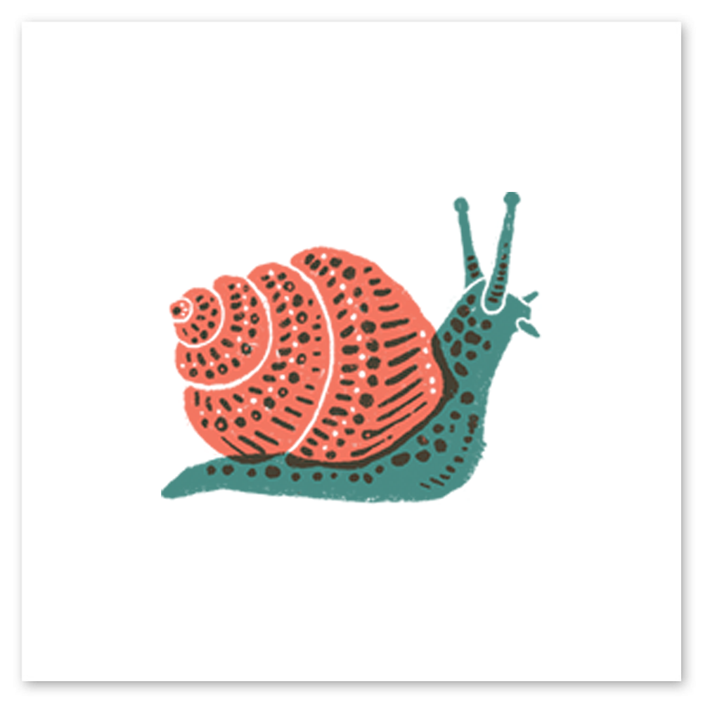  Snail Tattly Temporary Tattoos、mySite、ghnorth