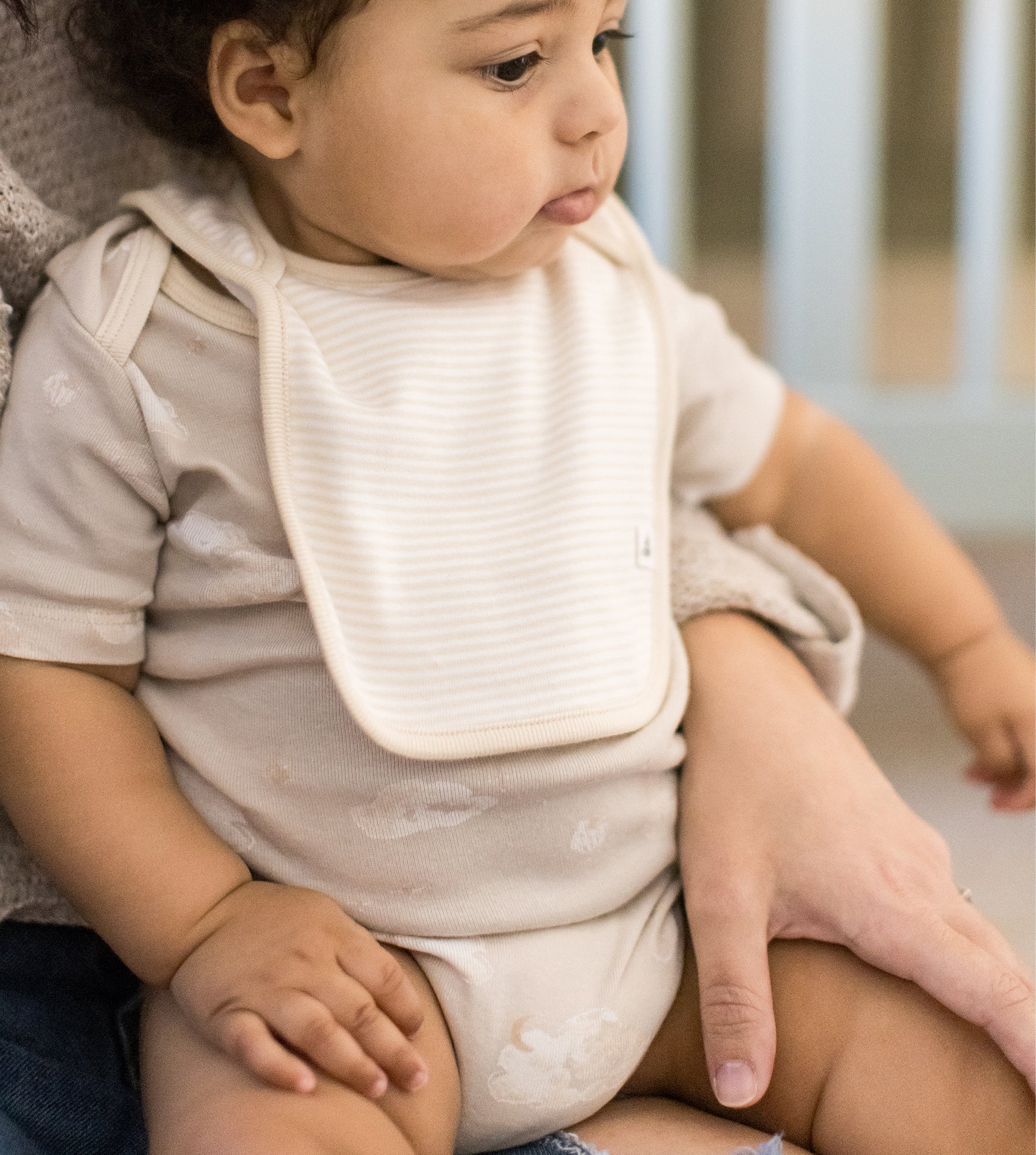  Swaying Branches Organic Short Sleeve Bodysuit & Pant Set 3 Pack、mySite、layawaytickets