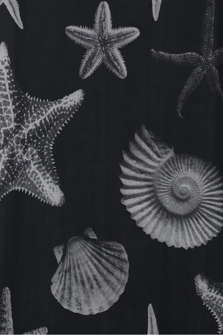 Black Seashell Mesh Cami Dress、mySite、solidvoid