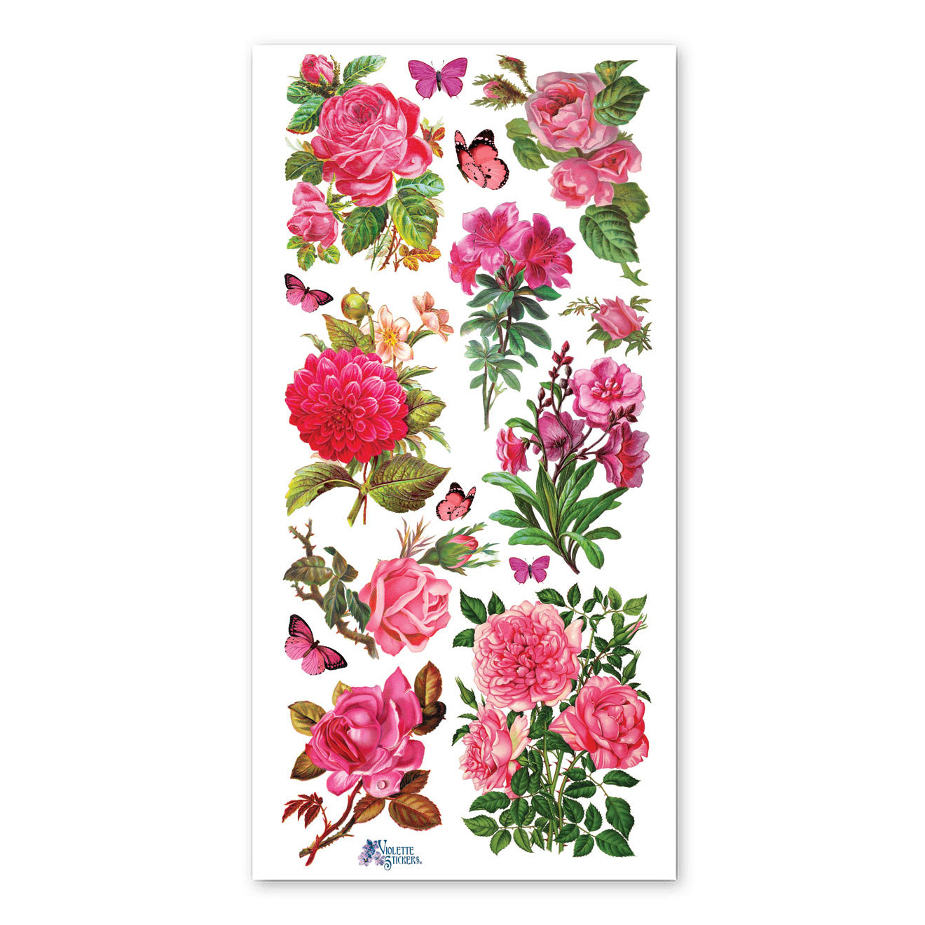  Fuchsia Roses Stickers、mySite、ghnorth