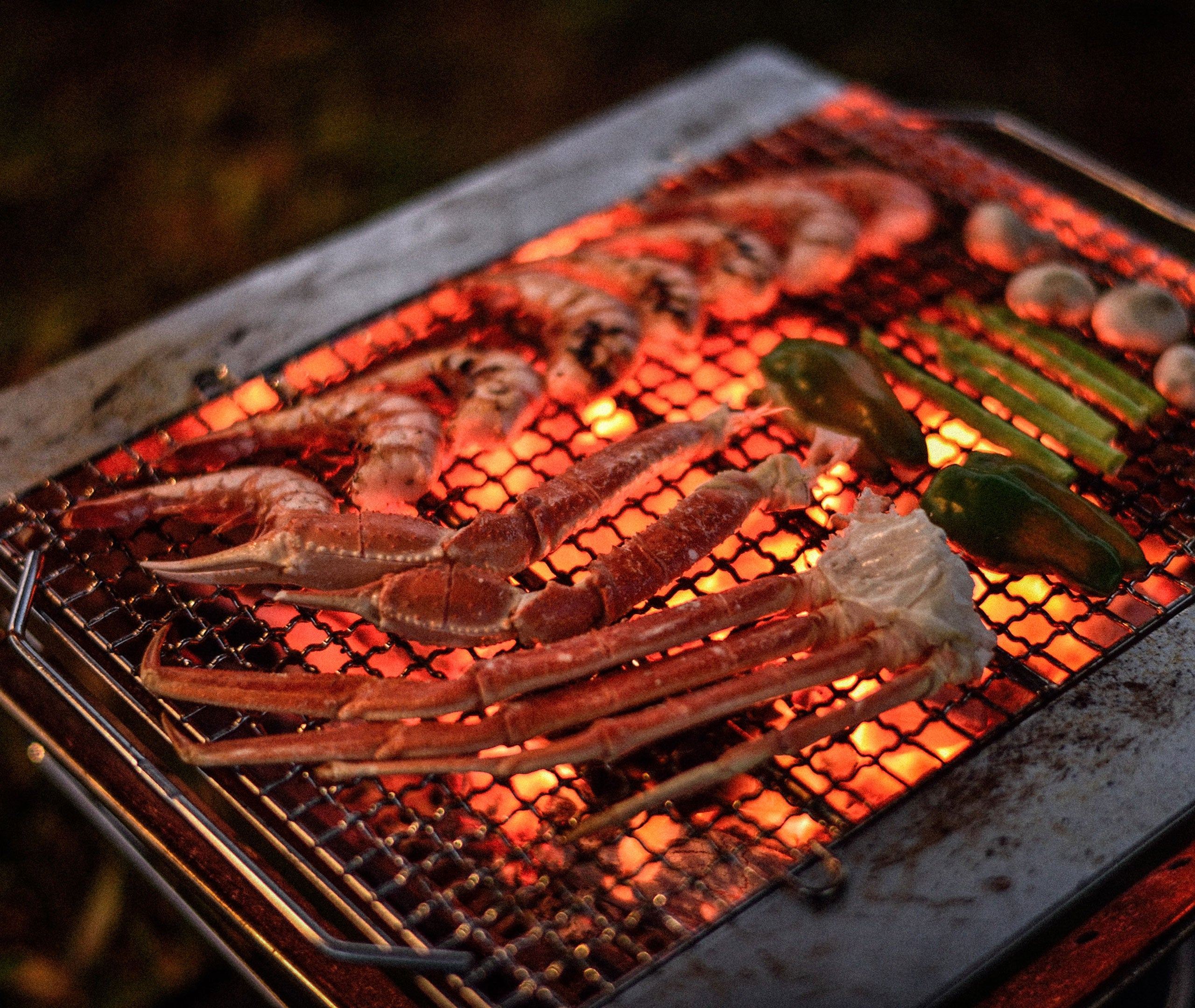 Fireplace Grill Bridge - Large、mySite、topwebapps