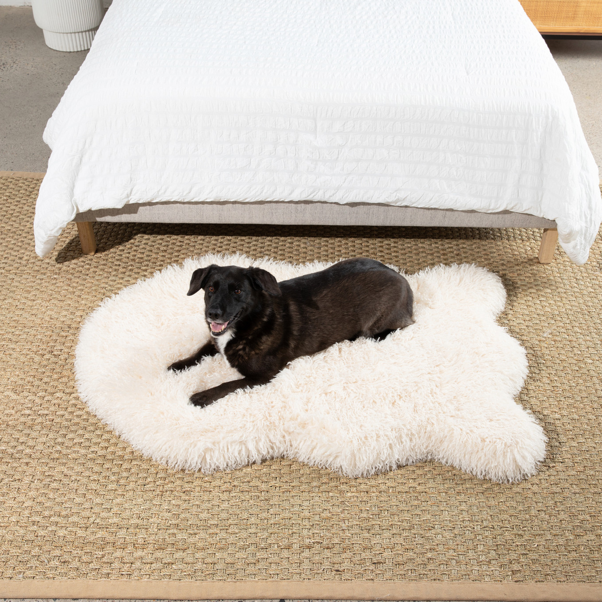 PupRug™ Luxe Faux Fur Orthopedic Dog Bed - Plush Sheep Ivory、mySite、solidvoid