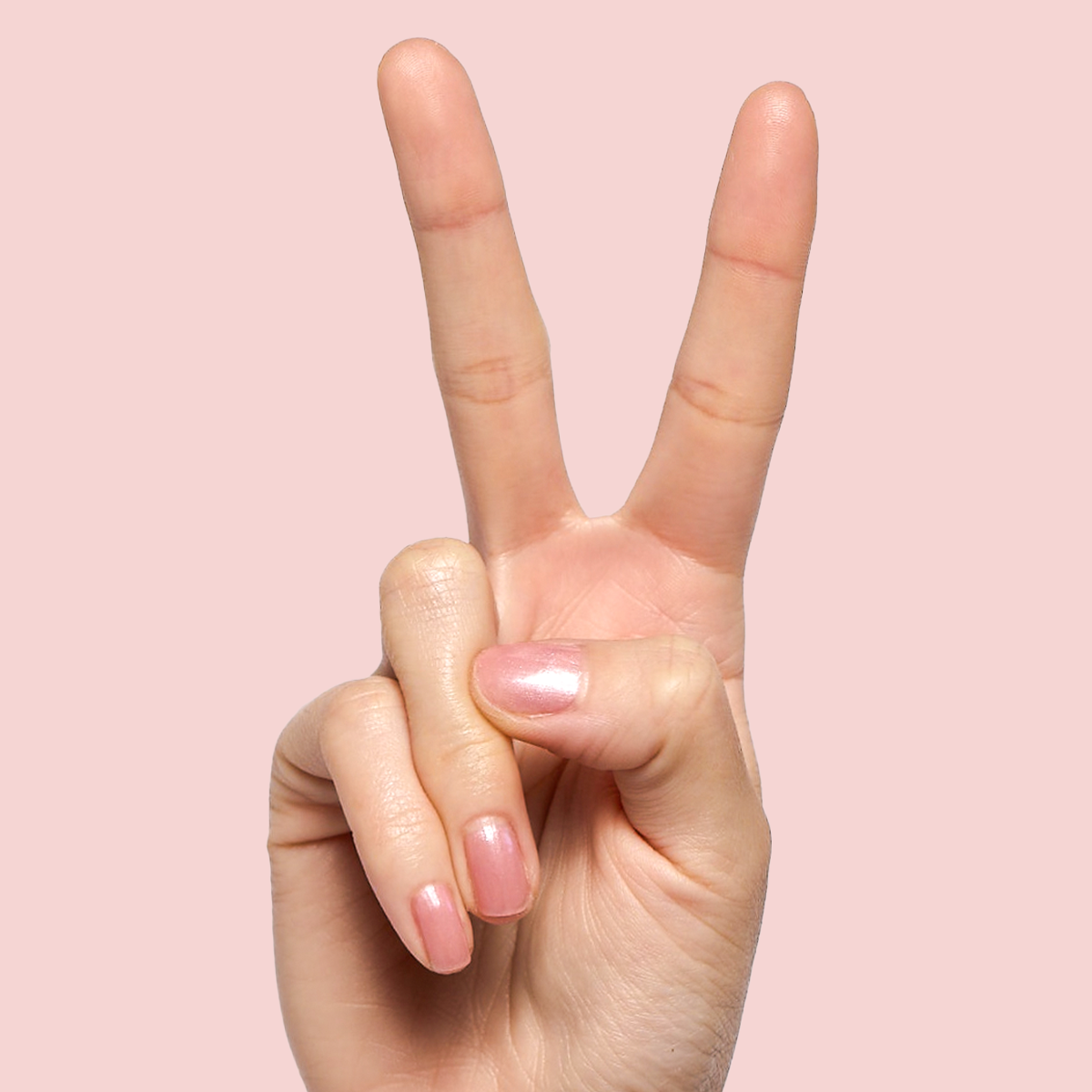 Lovenote、mySite、solidvoid