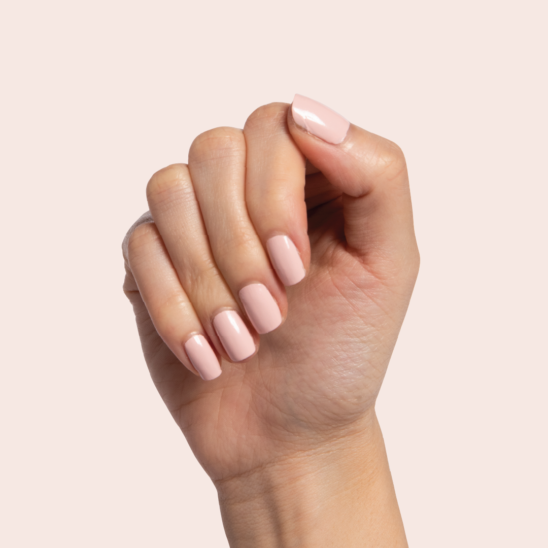 Pointe、mySite、solidvoid