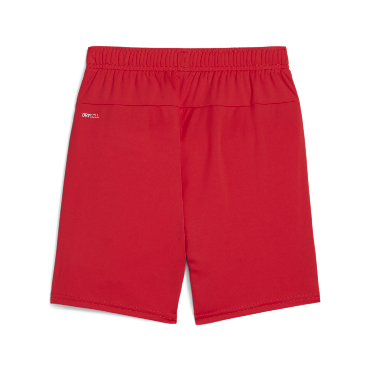 Puma Youth Teamgoal Shorts - Red、mySite、noshort