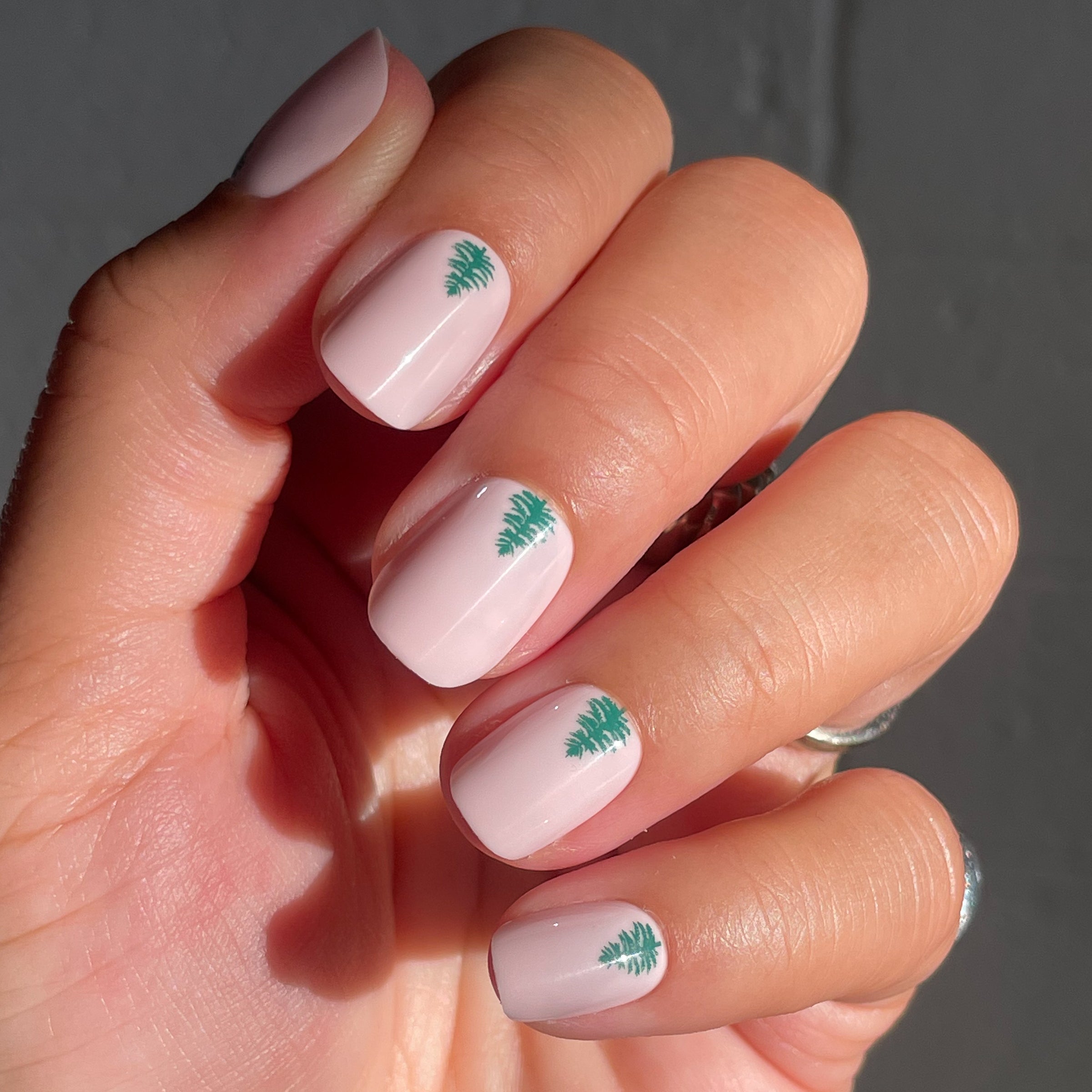 Evergreen Tree | Squoval | Extra Short、mySite、solidvoid