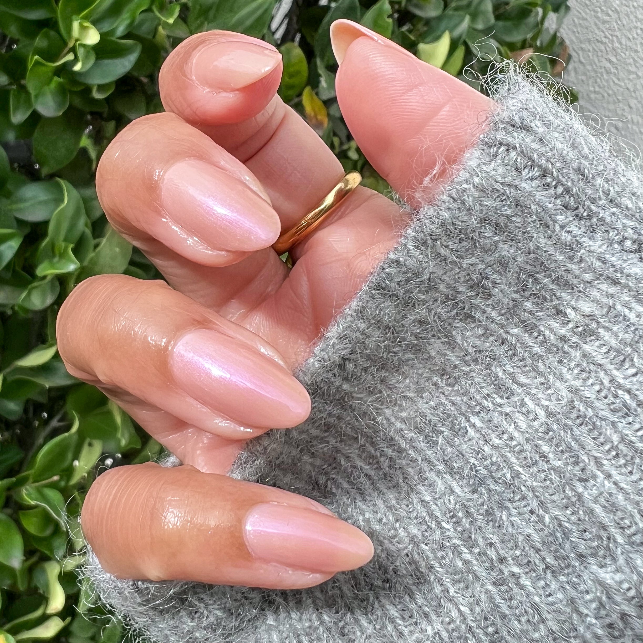 Sandy Scallop、mySite、solidvoid