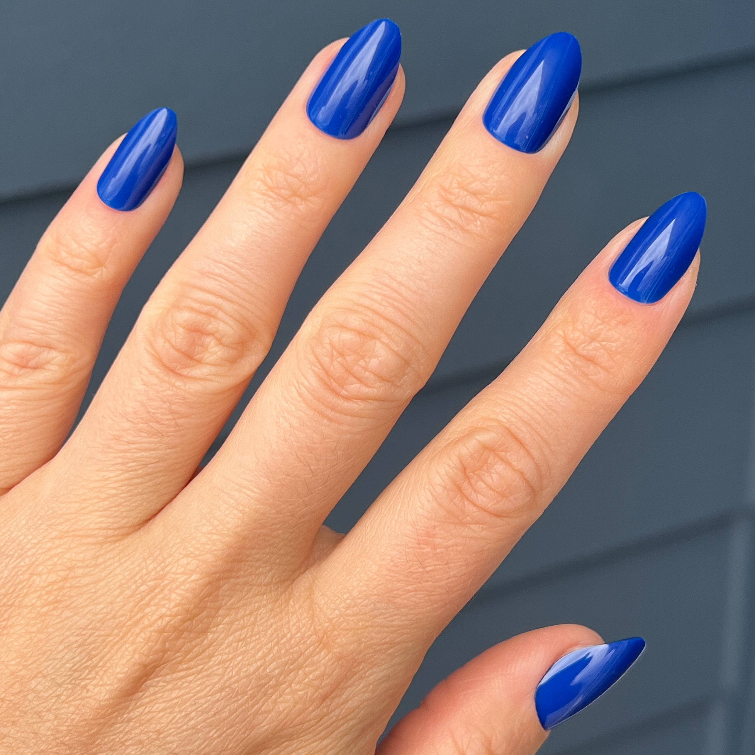 Blueberry Muffin | Almond | Medium、mySite、solidvoid