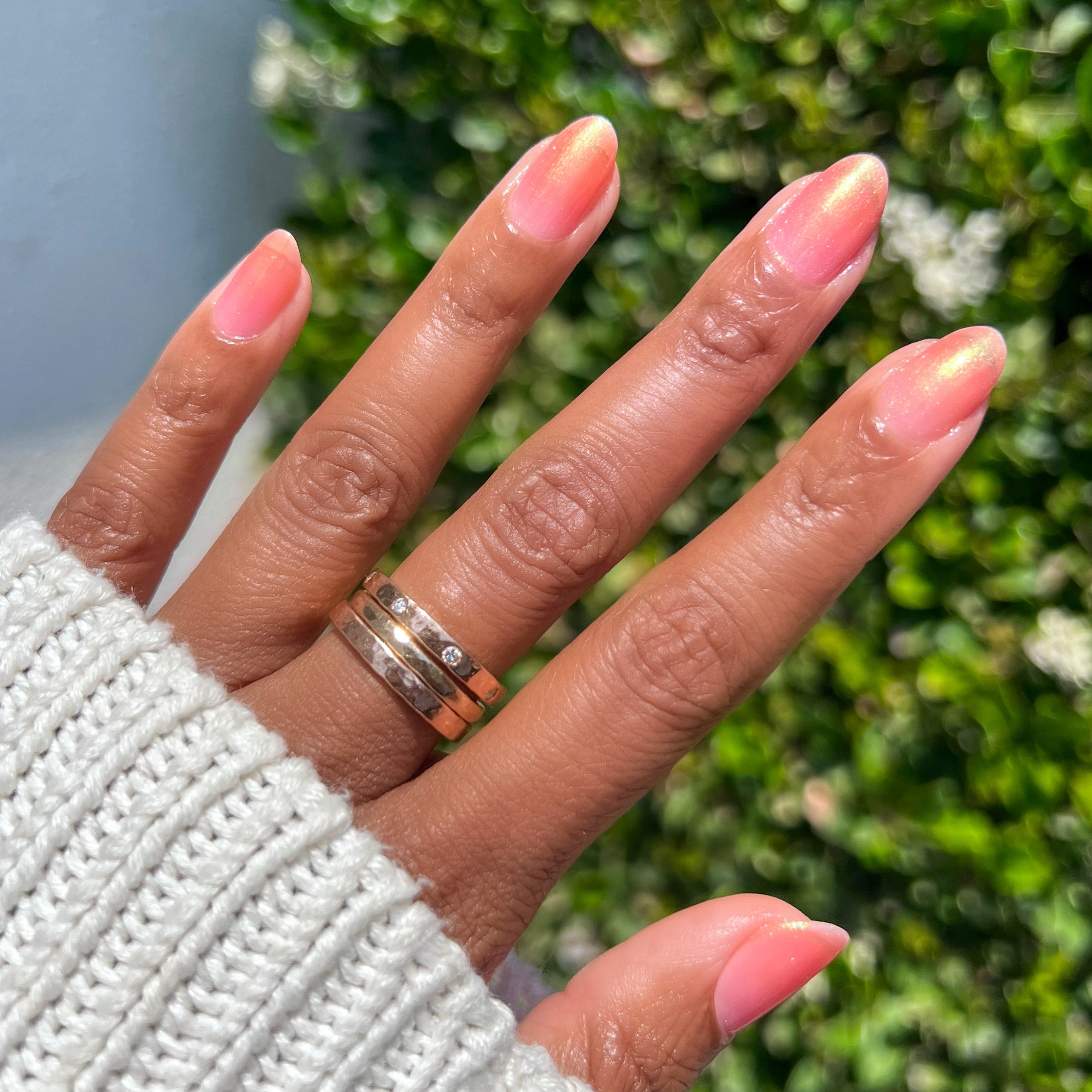 Candy Coral、mySite、solidvoid