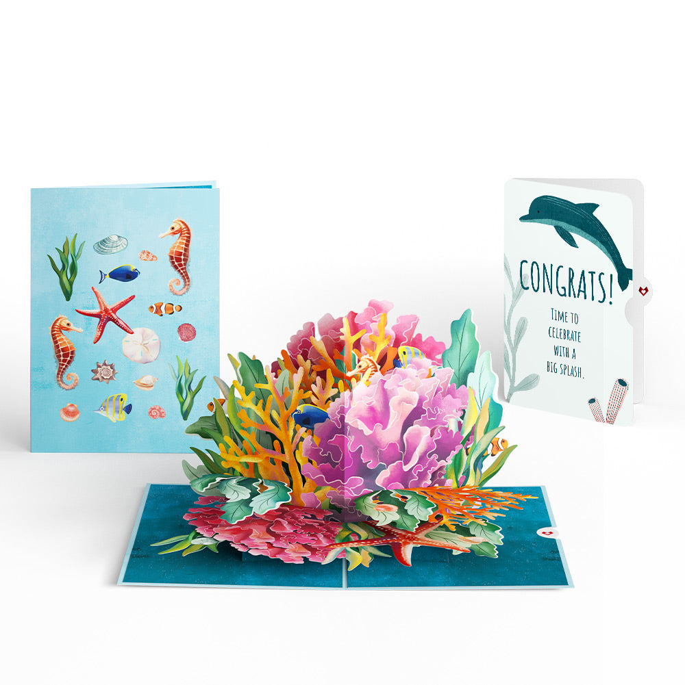 Coral Reef Wonders Congratulations Pop-Up Card and Sentiment Set、mySite、solidvoid