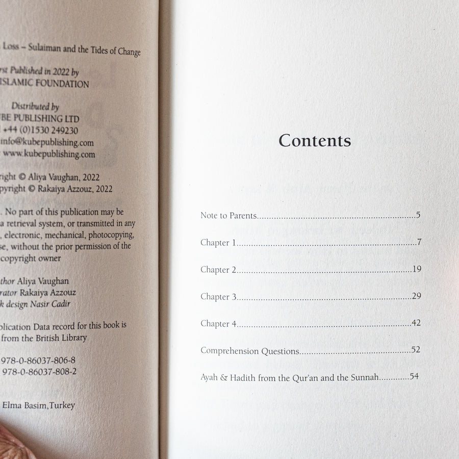 Learning to Deal with Loss、mySite、topwebapps