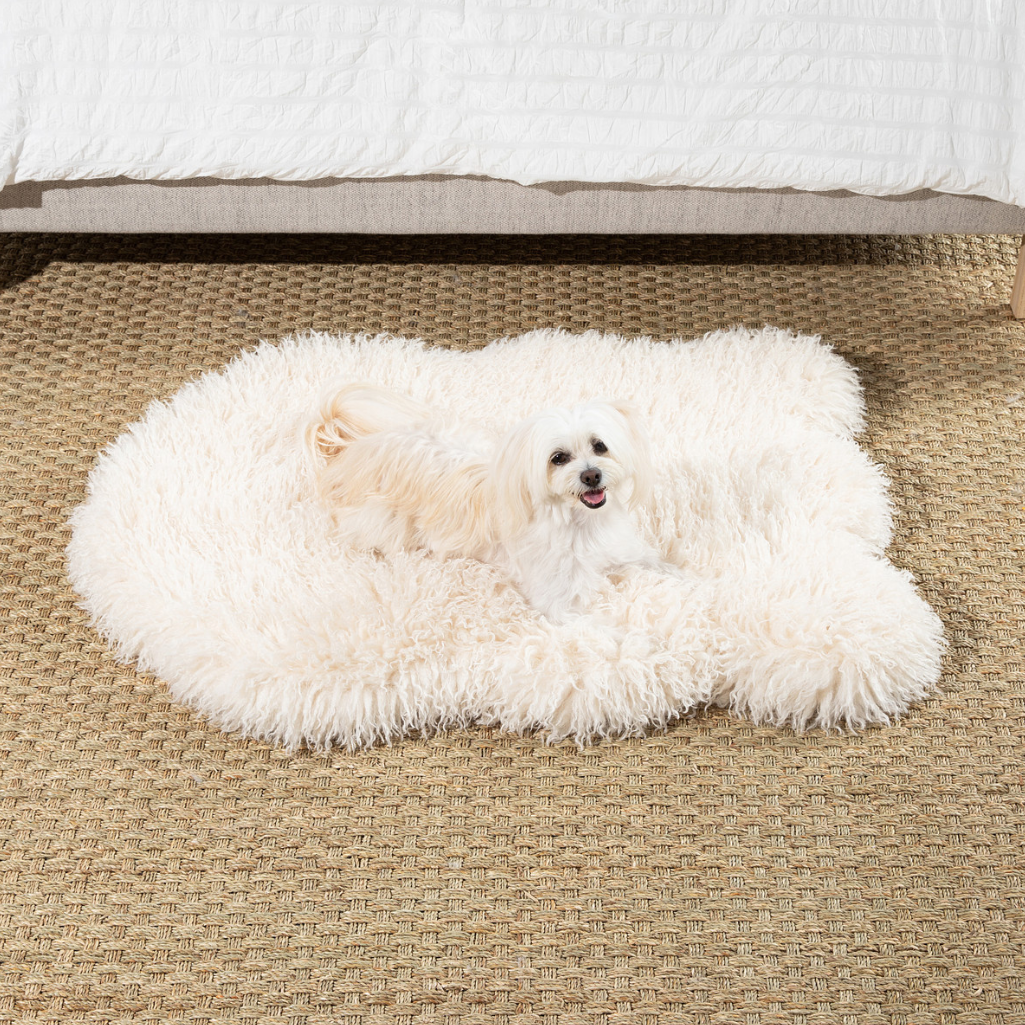 PupRug™ Luxe Faux Fur Orthopedic Dog Bed - Plush Sheep Ivory、mySite、solidvoid