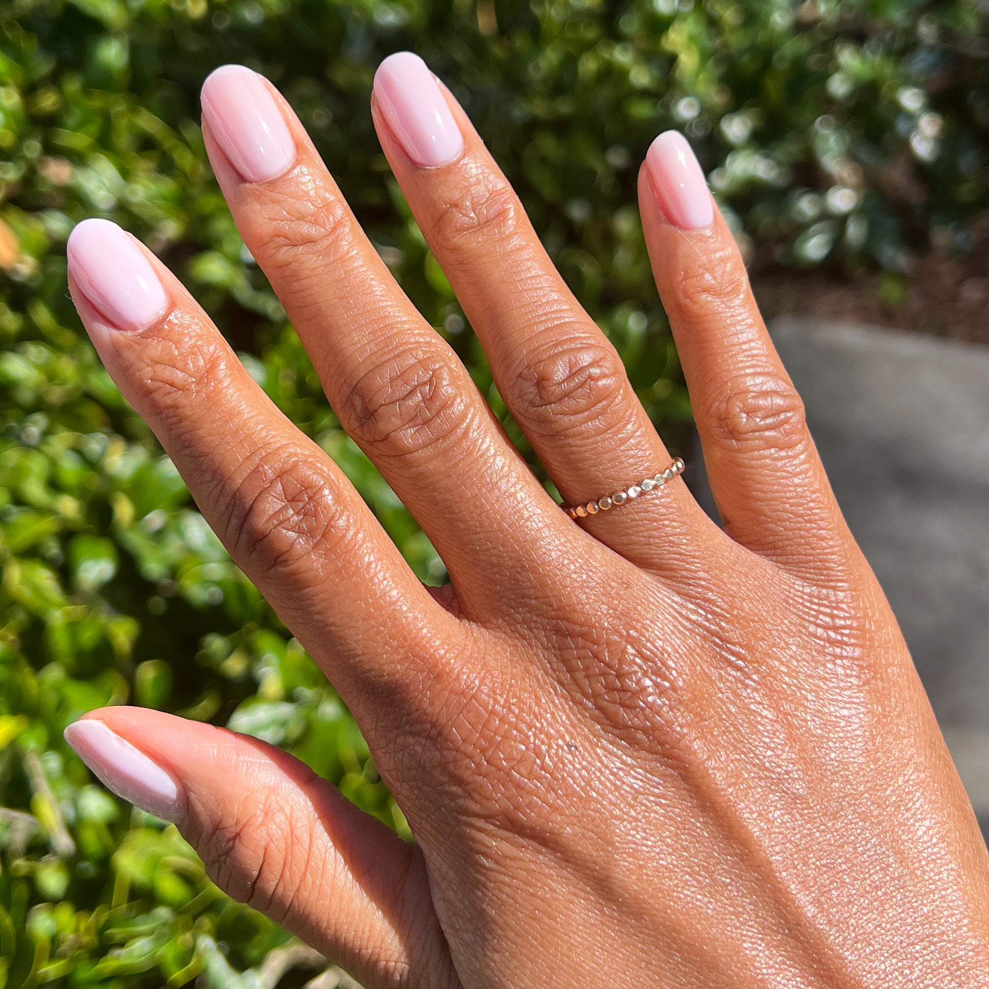 Strawberry Scone、mySite、solidvoid