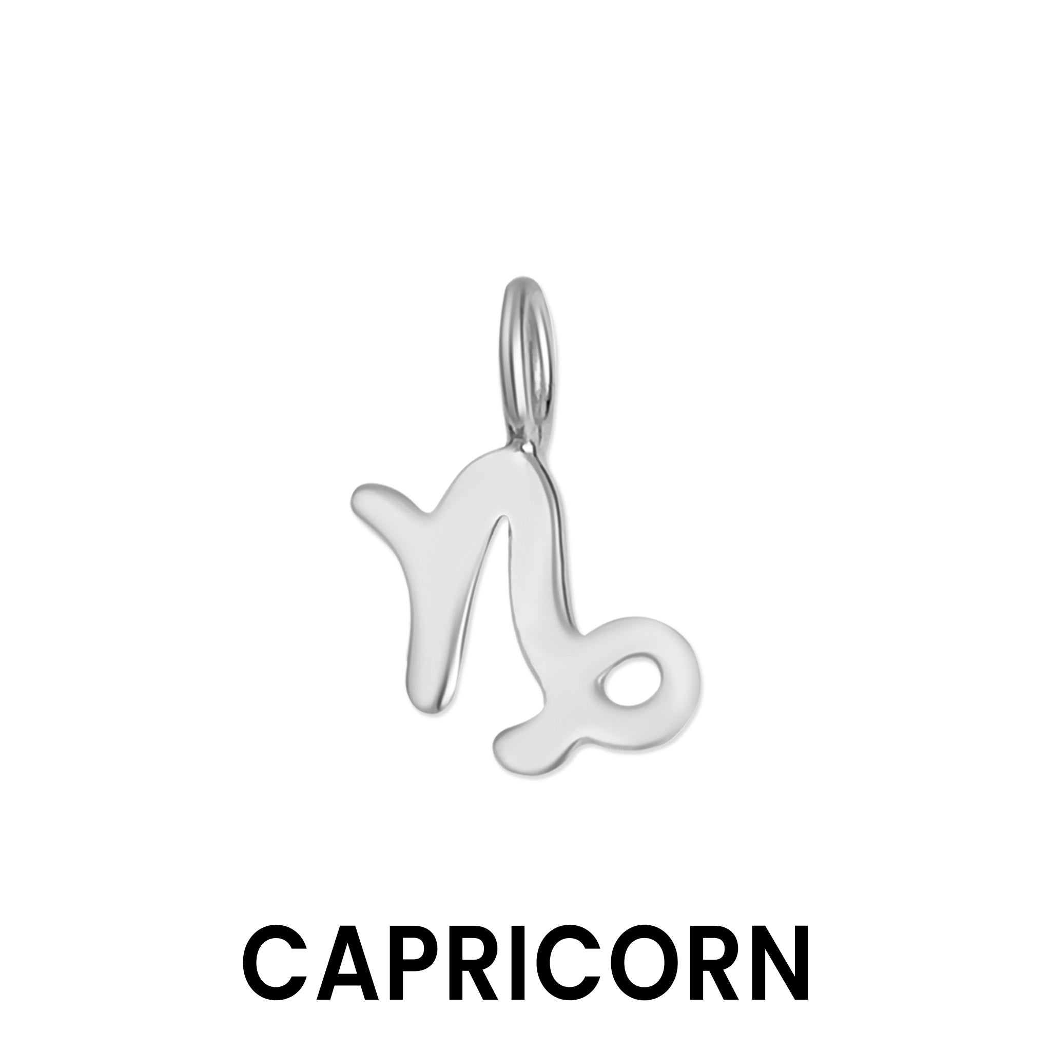 Permanent Jewelry .925 Sterling Silver Zodiac Charms / PMJ3011、mySite、dreamappss