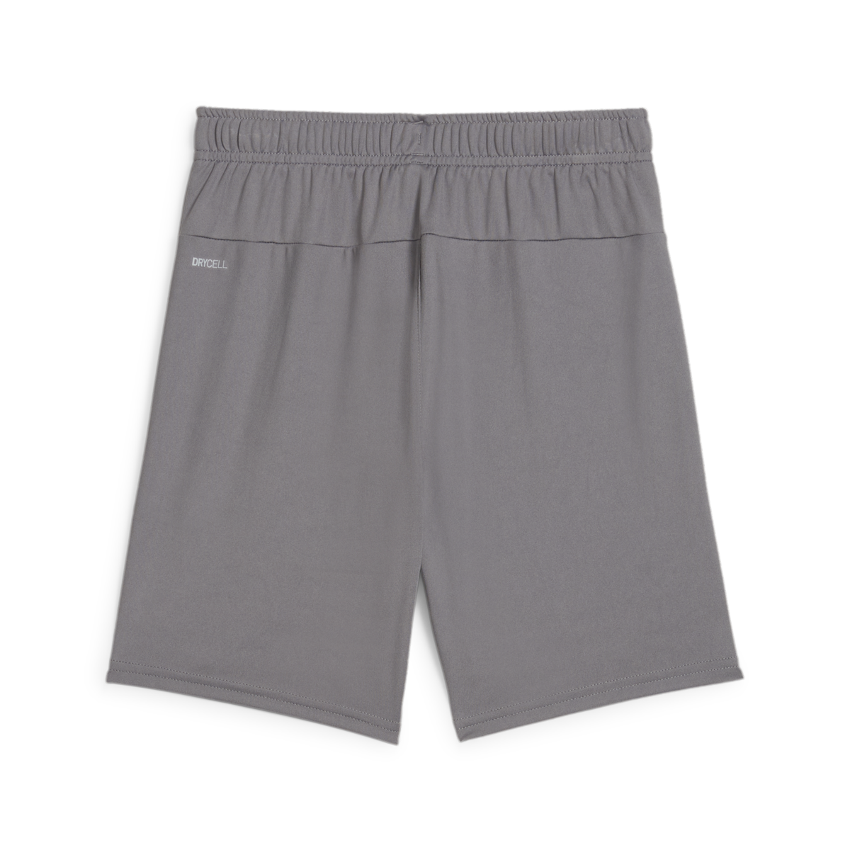 Puma Youth Teamgoal Shorts - Grey、mySite、noshort