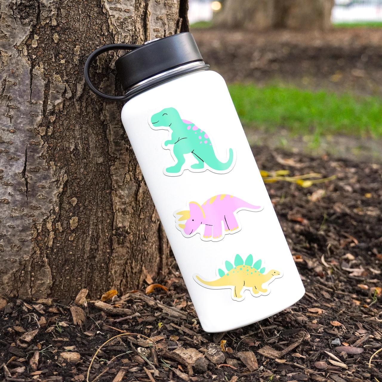  Cute Dinosaur Stickers 5 Pack、mySite、ghnorth