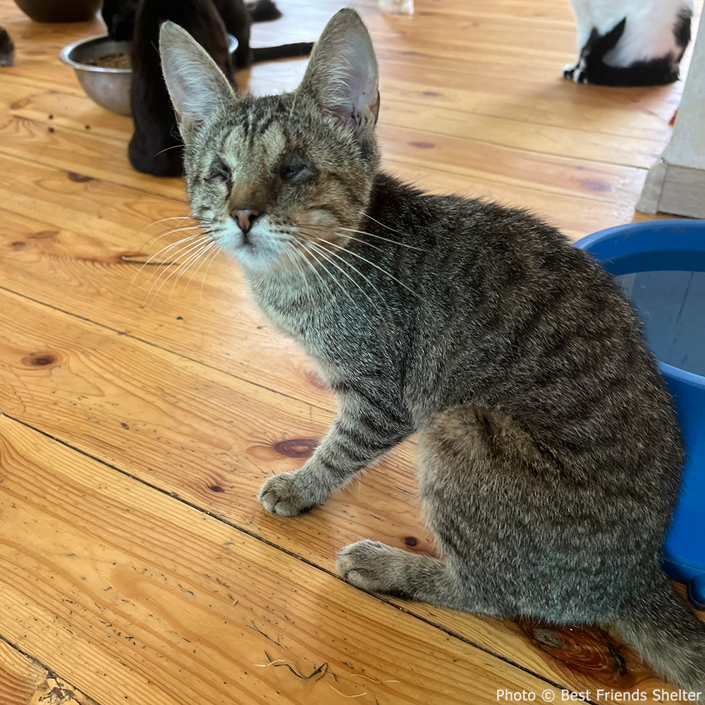 Funded: Help Lasunya Recover After Losing Her Sight、mySite、camillekostekn