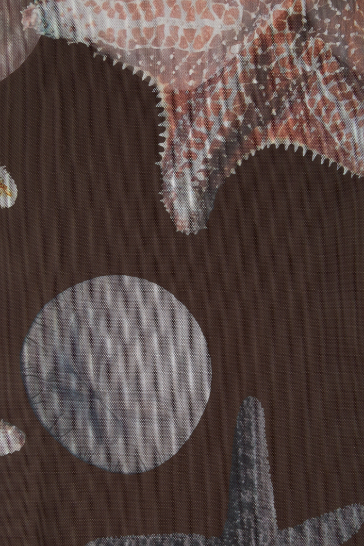 Chocolate Shell Sleeveless Dress、mySite、solidvoid