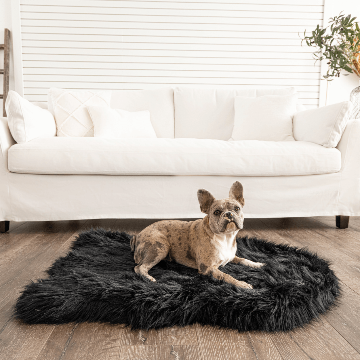 Paw.com x BarkBox PupRug™ Faux Fur Orthopedic Dog Bed - Midnight Black、mySite、solidvoid