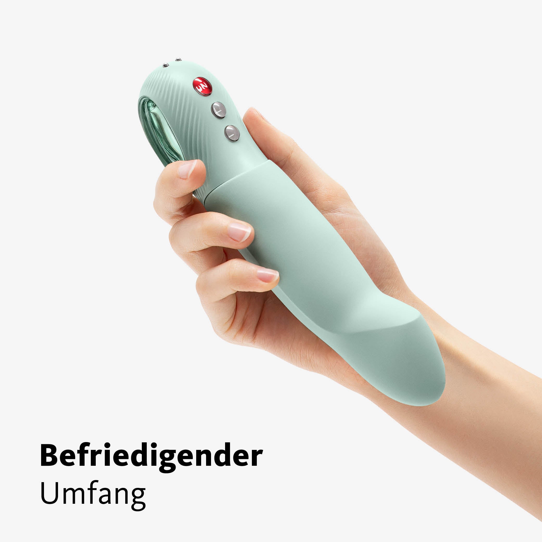 STRONIC G FORTE、mySite、bottomscart