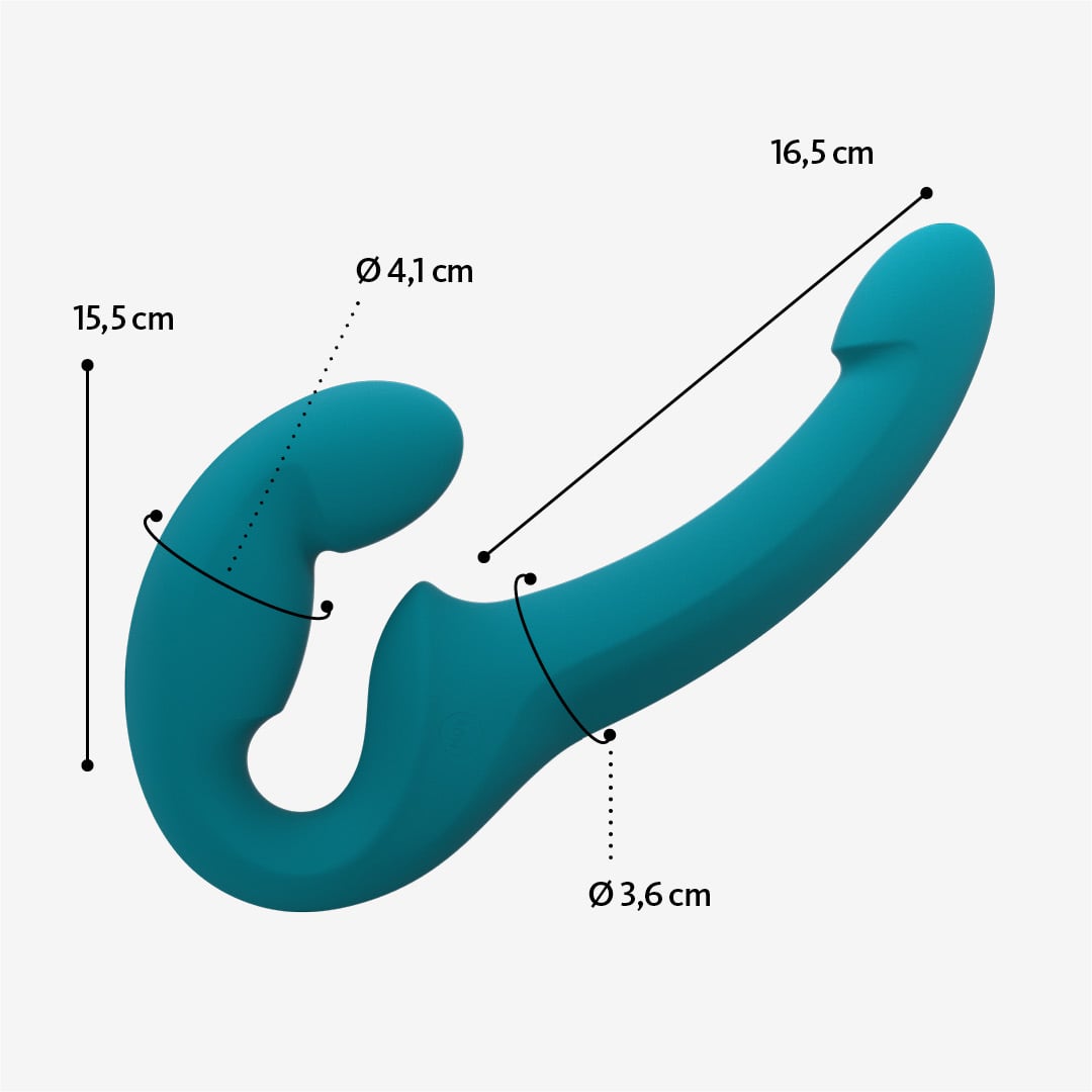 SHARE LITE、mySite、bottomscart