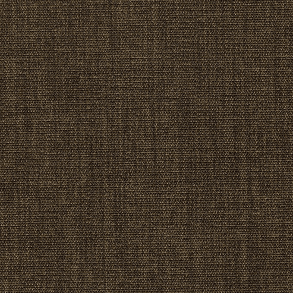 Grade B: Everglade EV006、mySite、neckold