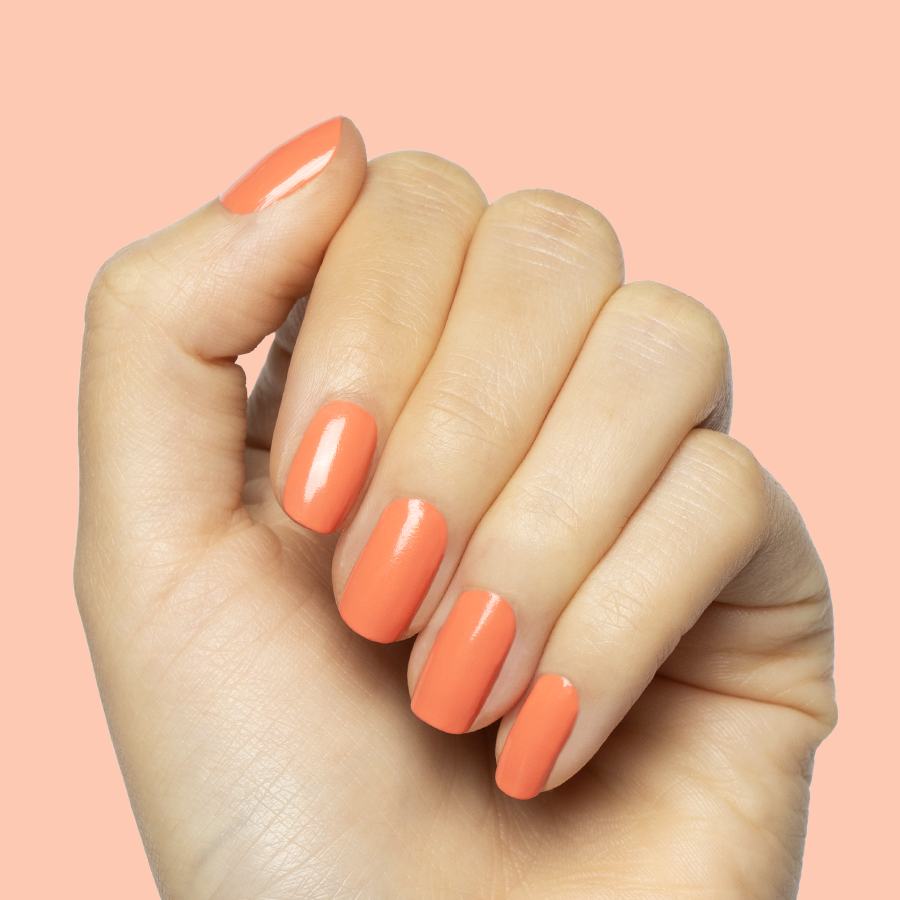 Ride into the Sunset、mySite、solidvoid