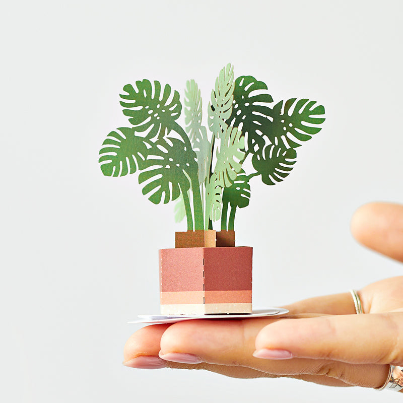 Stickerpop™: Monstera (5-Pack)、mySite、solidvoid