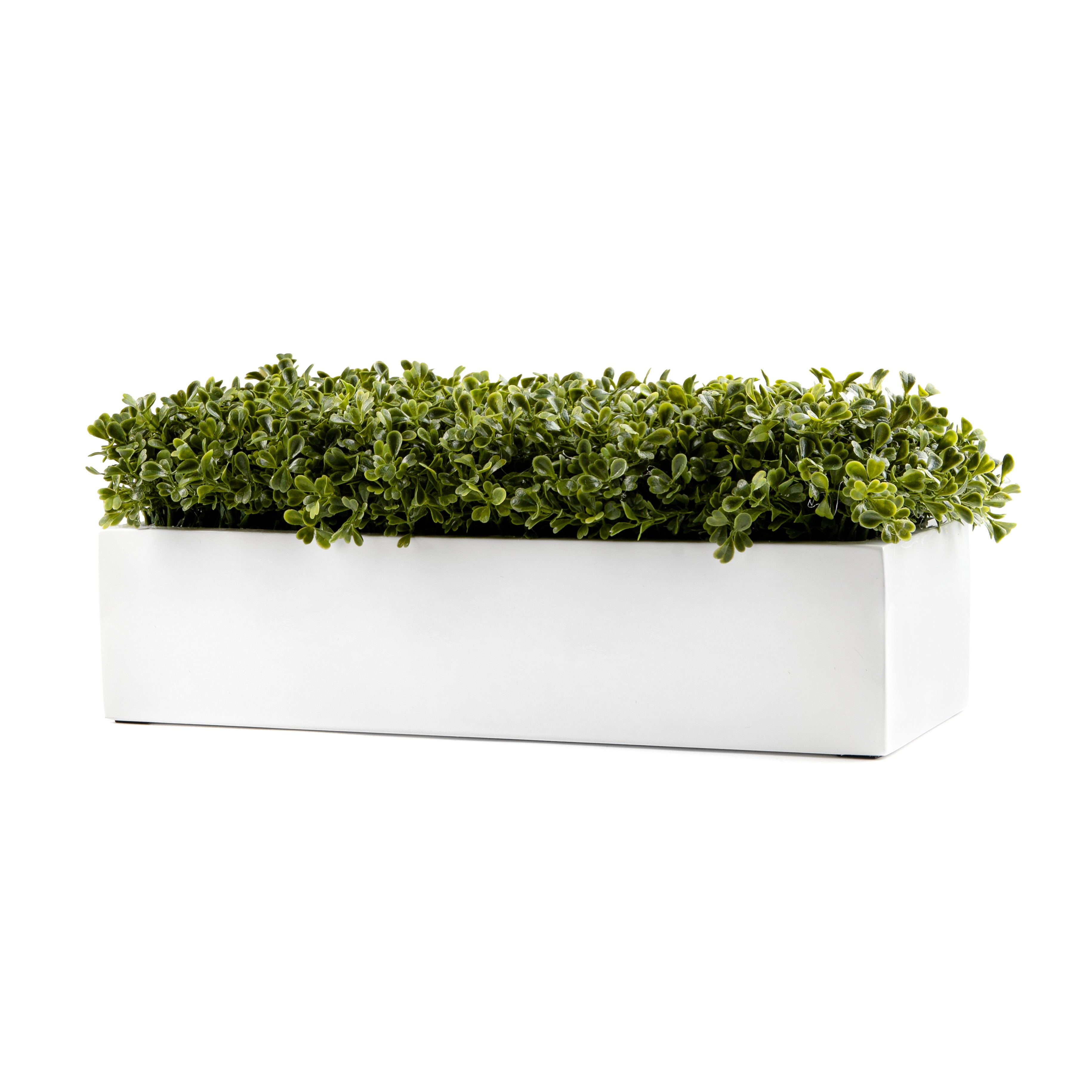  DH White Rectangle Boxwood Pot、mySite、elrpsem3k