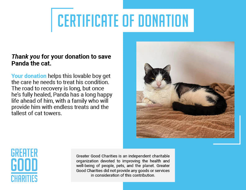 Funded: Devastating Illness May Take Panda's Life - Help Him Recover!、mySite、camillekostekn