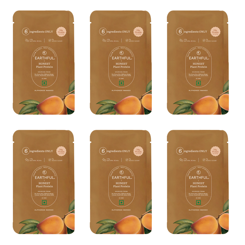 Plant Protein Alphonso Mango | For Stamina, Energy, & Managing Weight | Pack Of 6、mySite、camillekostekn