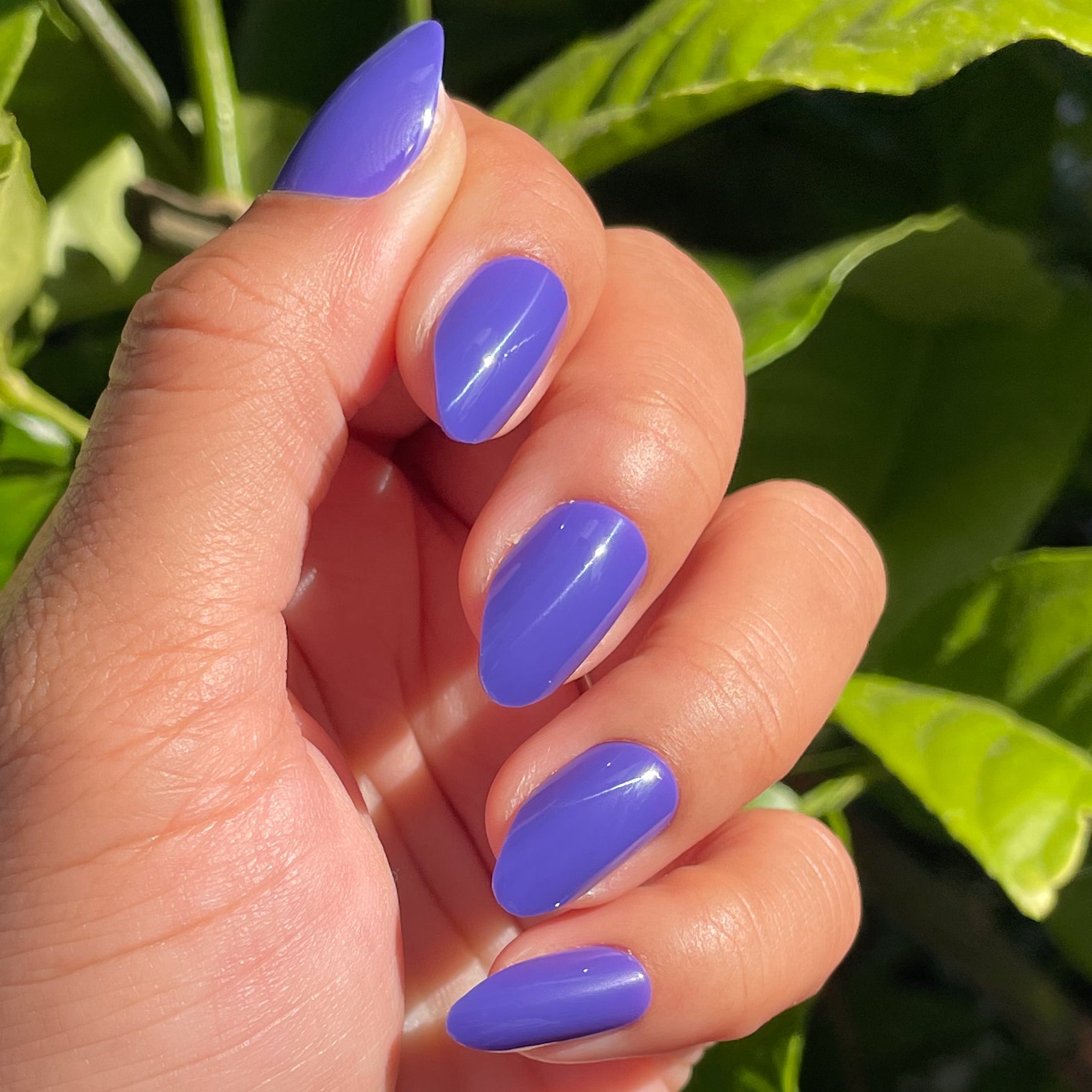 House of O&J - Press-On | Medium | Almond、mySite、solidvoid