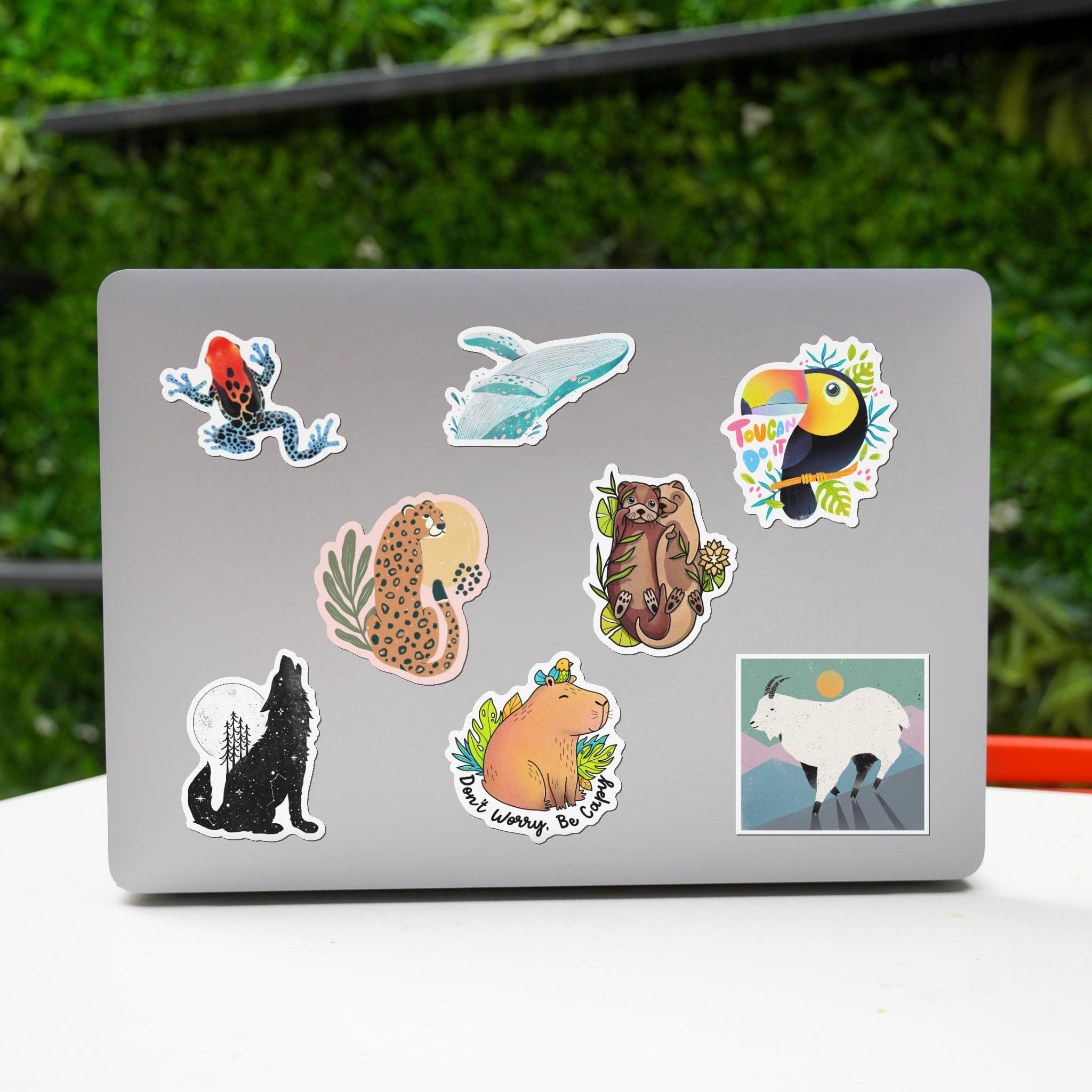  Rainforest Animal Stickers 8 Pack、mySite、elrpsem3k